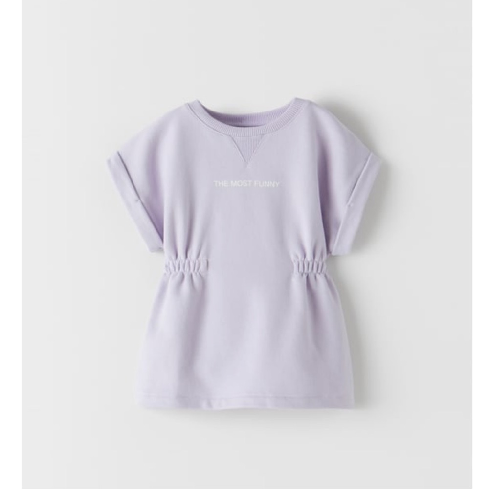 Zara Kids Toddler Girl Purple Elastic Waist Plush Dress